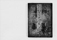 https://iiif.dl.itc.u-tokyo.ac.jp/repo/files/medium/11db95173440baba127ed6748ab4bf5e902da35b.jpg
