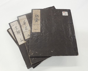 東京大学本源氏物語