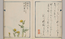 総合図書館所蔵古典籍(国文研デジタル化分) | 東京大学 総合図書館所蔵古典籍(国文研デジタル化分) | 東京大学