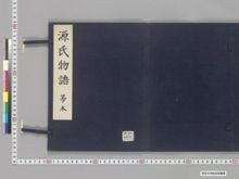 https://iiif.dl.itc.u-tokyo.ac.jp/iiif/2/seishu%2FA00_6029%2F001%2FA00_6029_001_0001.tif/full/!220,220/0/default.jpg