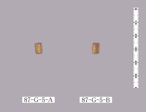 甲金甲重角朱中金
