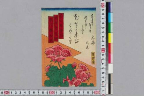 https://kokusho.nijl.ac.jp/api/iiif/100390728/v4/TOKY/TOKY-02979/TOKY-02979-00001.tif/full/500,/0/default.jpg