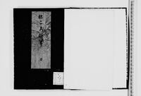 https://iiif.dl.itc.u-tokyo.ac.jp/repo/files/medium/ab7f5f22fa77b0a94cd6813d91a4649b0c3b5c6c.jpg
